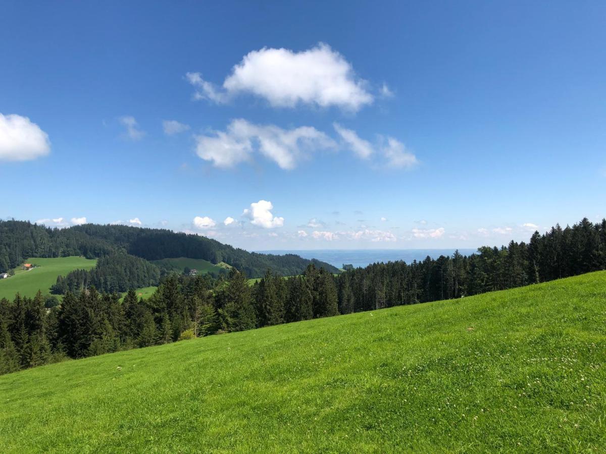 Hirschen Wald - Gasthaus & Baeckerei エクステリア 写真