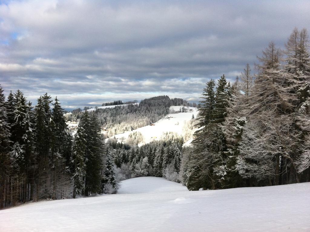 Hirschen Wald - Gasthaus & Baeckerei エクステリア 写真