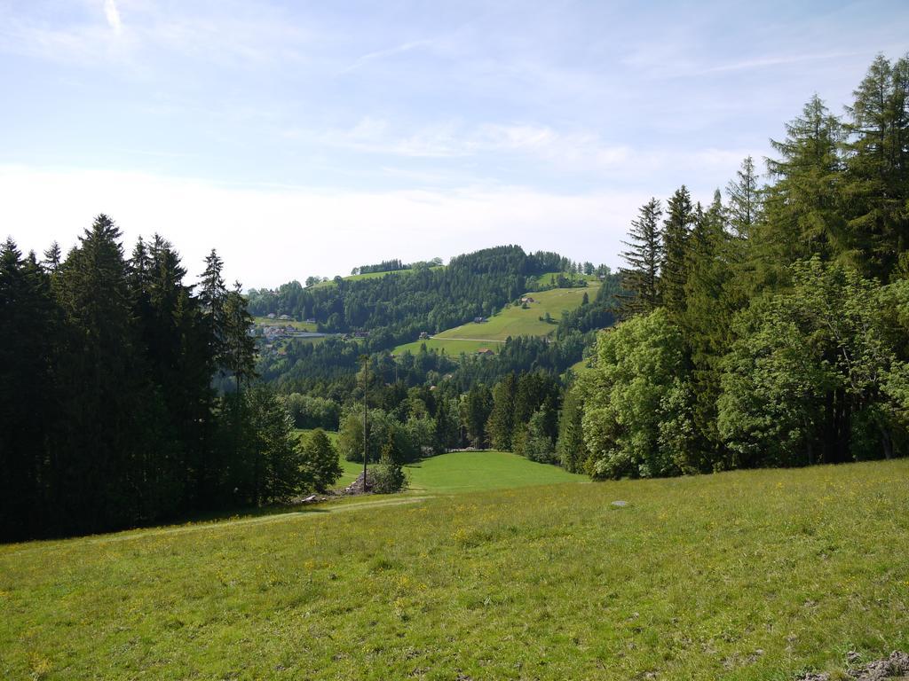 Hirschen Wald - Gasthaus & Baeckerei エクステリア 写真