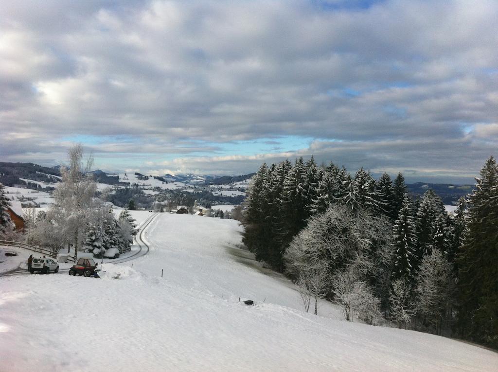 Hirschen Wald - Gasthaus & Baeckerei エクステリア 写真